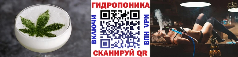 цена   KRAKEN ТОР  Еда ТГК конопля  Закаменск 