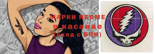 ПСИЛОЦИБИНОВЫЕ ГРИБЫ Грязовец