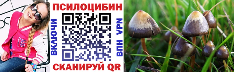 Псилоцибиновые грибы Magic Shrooms  Закаменск 